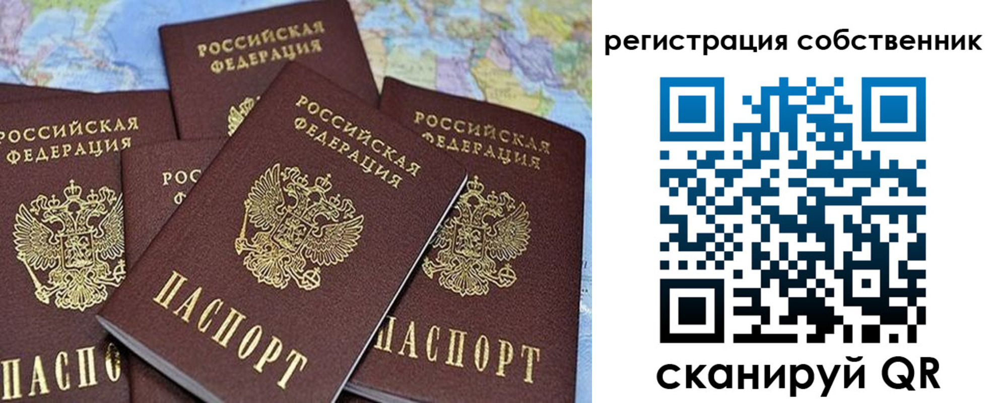 прописка для школы в Сысерти